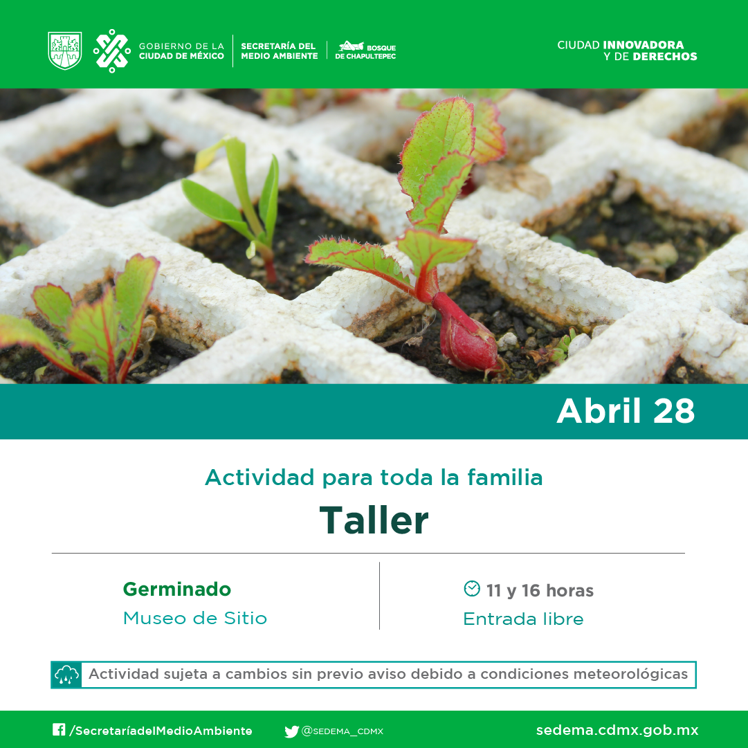 BANNERS_ABRIL-07