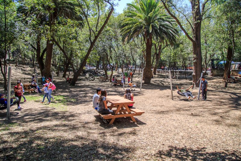Los mejores lugares para irte de picnic en el Bosque de ...